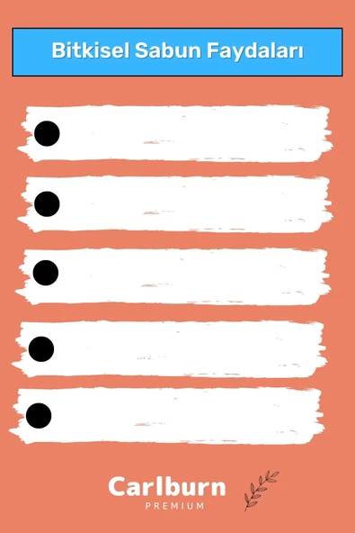 Doğal Güzel Kokulu El Yüz Saç Vücut Cilt Onaran Kolajen Etkili Defne Yaprağı Bitkisel Sabun 5 Adet - Resim 2