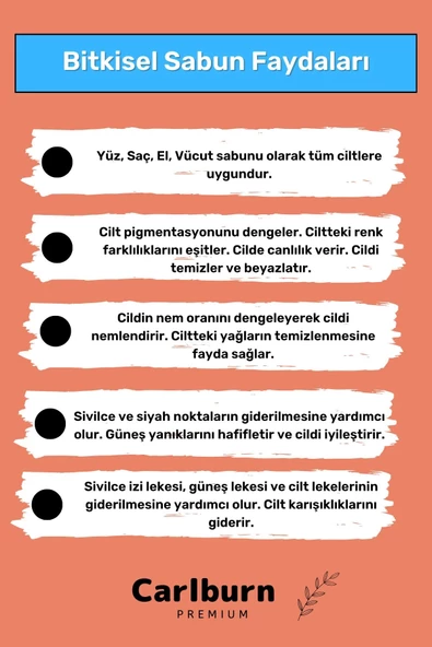 Doğal Güzel Kokulu El Yüz Saç Vücut Cilt Onaran Kolajen Etkili Salyangoz Bitkisel Sabun 1 Adet - 2