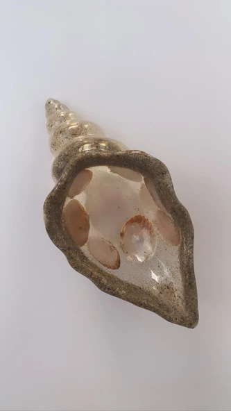 Şeffaf Renkli Deniz Kumu Ve Deniz Kabuğu Ile Süslenmiş Çerezlik El Yapımı Epoksi Hediyelik - 5