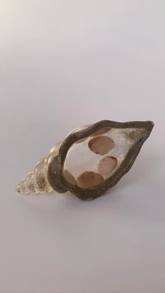 Şeffaf Renkli Deniz Kumu Ve Deniz Kabuğu Ile Süslenmiş Çerezlik El Yapımı Epoksi Hediyelik - 6