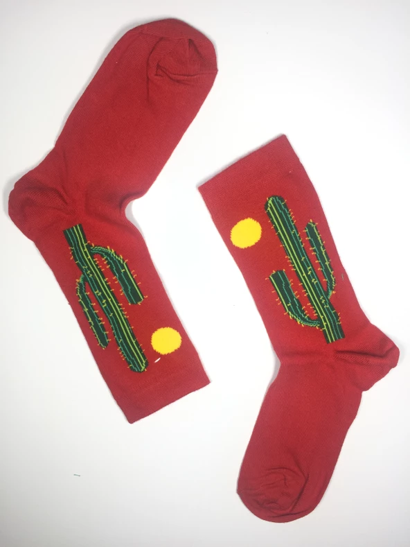 3 Çift Kaktüs Temalı Unisex Soket Çorap kak3 - 2