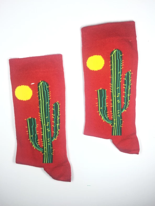 2 Çift Kaktüs Temalı Unisex Soket Çorap kak2 - 2