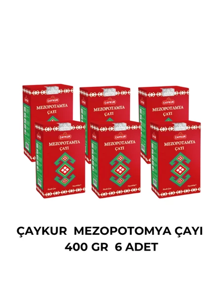 ÇAYKUR MEZOPOTOMYA ÇAYI 400 GR - 6 ADET