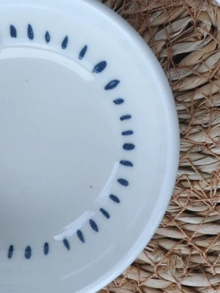 Blue Dot 2 li Mini Kase-Sunum - 2