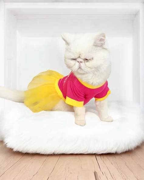 PINK Love Mom Tütülü Kedi Elbisesi, Kıyafeti Tutu - 6