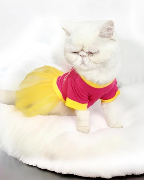 PINK Love Mom Tütülü Kedi Elbisesi, Kıyafeti Tutu - 2