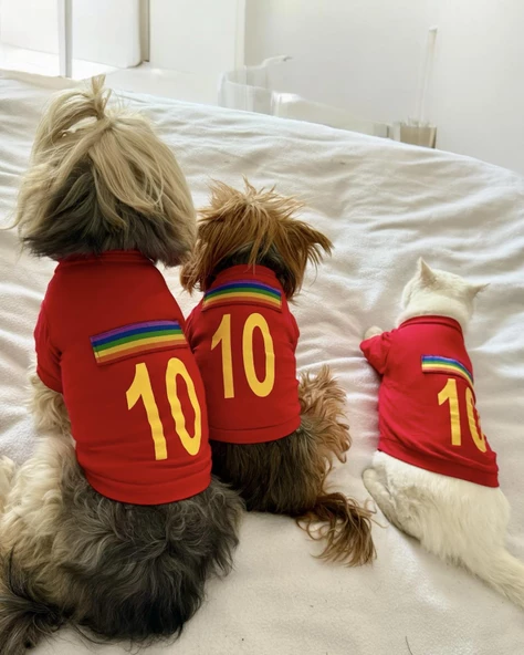 Uno Red Köpek Tişörtü - 6