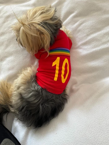 Uno Red Köpek Tişörtü - 8
