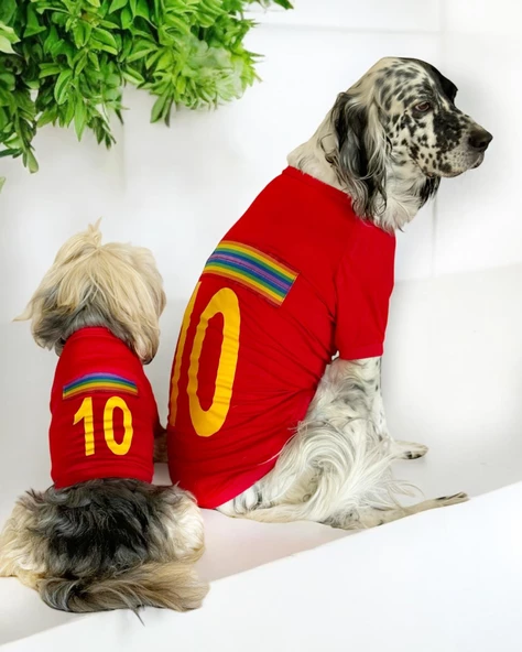 Uno Red Köpek Tişörtü - 4