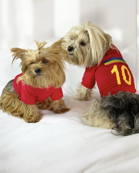 Uno Red Köpek Tişörtü - 2