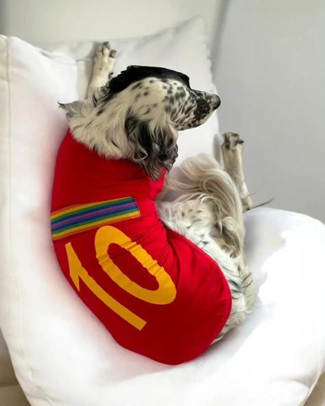 Uno Red Büyük Irk Köpekler İçin Tişört - 5