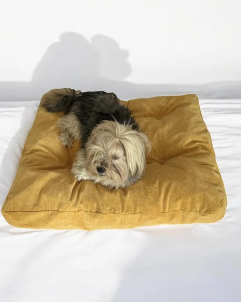 POUCHIE HARDAL Kedi Köpek Minderi 80 X 65 CM - 4