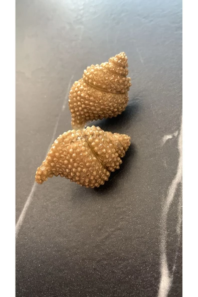 Gold Renk Ile Süslenmiş Deniz Kabuğu Istiridye Şekil Gümüş Aksesuarlı Epoksi Küpe El Yapımı ürün görseli