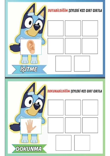 Cırt Cırtlı Beş Duyu Organımız Kitabı - 2
