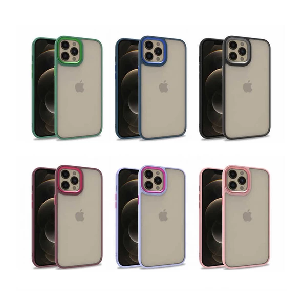 Apple iPhone 12 Pro Max - Kılıf Arkası Şeffaf Kamera Çevresi Parlak Zıt Renkli Flora Kapak - Resim 3