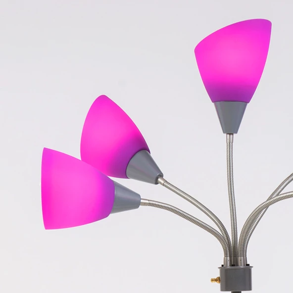 Colorato Lambader Mor - 7