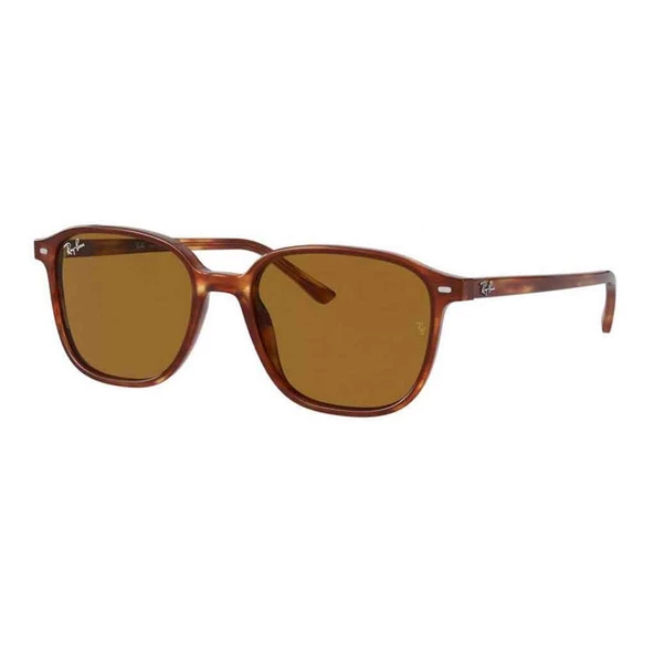 Ray-Ban RB 2193 954/33 51 Unisex Güneş Gözlüğü