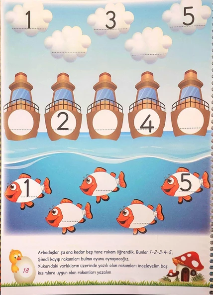 4 - 7 Yaş Ada ile Arda Öğreniyor Okul Öncesi Eğitim Seti - 10 Kitap - 536 Sayfa - Spiralli - 3
