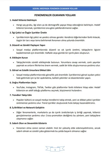 100 Adımda FENOMEN Olmanın Yolları Kitabı - 2