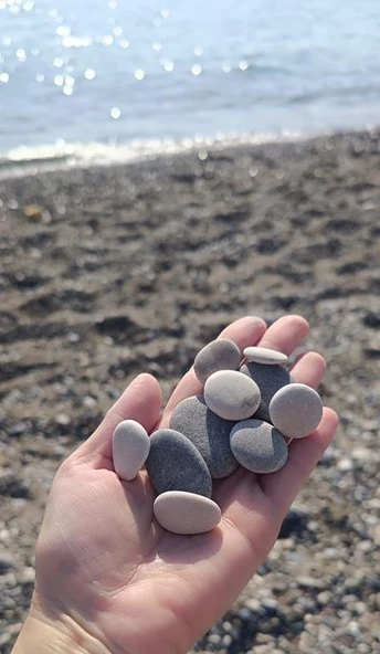 Yassı Taş 1 Kg Boyama Hobi Deniz Taşı Magnet Süs Taşı 2-5 cm Akvaryum Teraryum Süsleme - 2