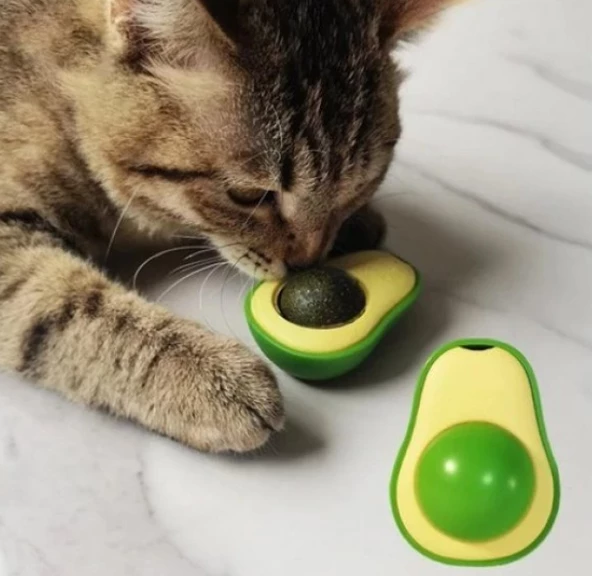 RENETİC Avokado Catnip Avokado Kedi Çimi Topu Avokado Kedi Nanesi Oyuncağı Kedi Oyuncağı