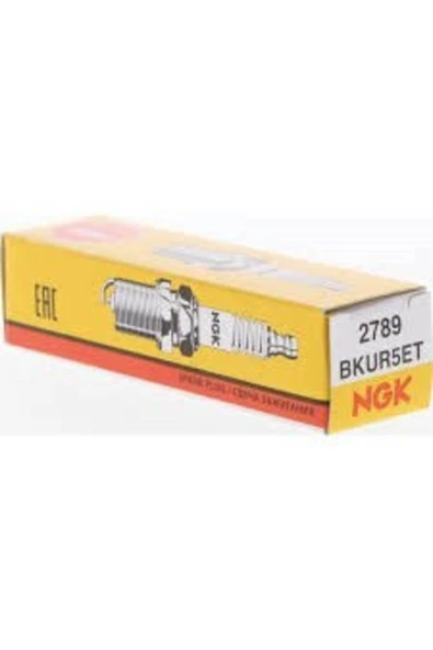NGK Bkur5et Buji R9-19-mgn-clıo-palıo-106-206-corsa (4 Adet)