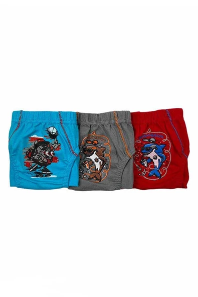 Tutku 0138 Erkek Çocuk Renkli Slip Külot 6 Adet  Karışık Renk 4 (7-8 YAŞ) - Resim 3