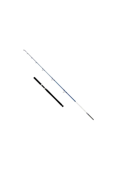 Captain 1411 Victor Boat 2 Parça Tekne Kamışı 30-160gr Atar
