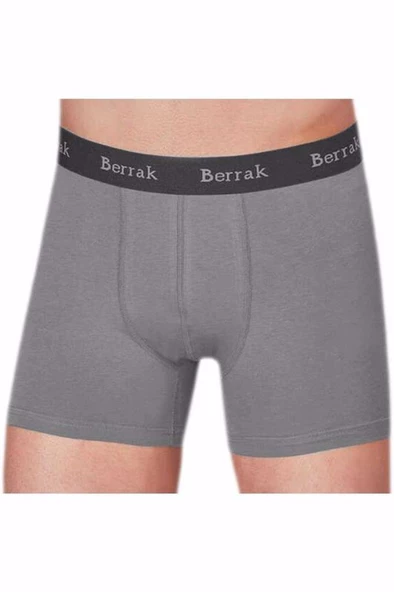Berrak 4476 Erkek Modal Likralı Boxer 2 Adet  L Gri