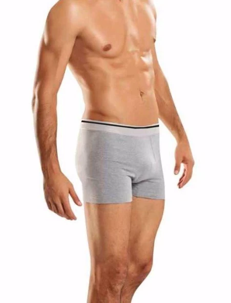 Berrak 1097 Erkek Likralı Esnek Boxer 6'Lı   M Gri