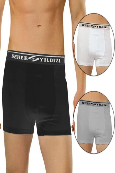 6 Adet Seher 060 Likralı Erkek Boxer  Külot  M Karışık Renk