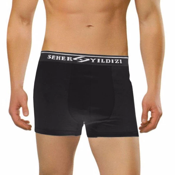 6 Adet Seher 060 Likralı Erkek Boxer  Külot  Siyah L