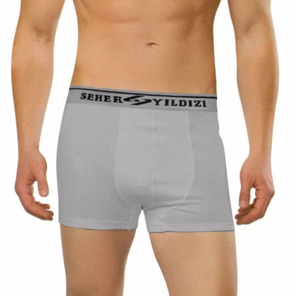 6 Adet Seher 060 Likralı Erkek Boxer  Külot  L Gri