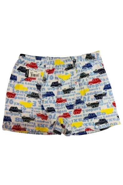 Tutku 0254 Erkek Çocuk Empirme Desenli Boxer 6 Adet  Karışık Renk 2 (3-4 YAŞ) - 4