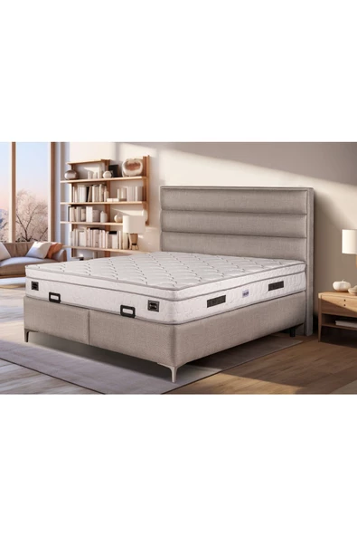 Beauty Sleep Lens Serisi Baza Başlık Seti ürün görseli