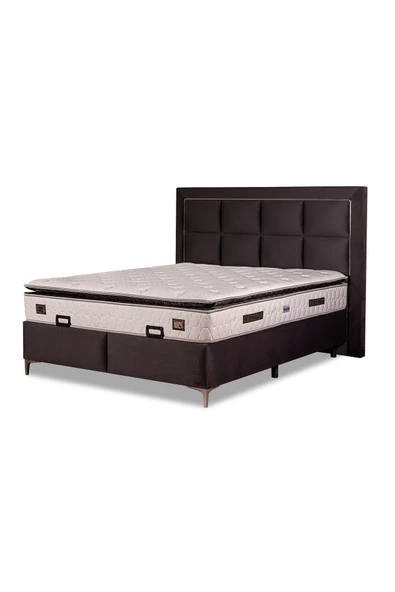 Beauty Sleep Beld Serisi 90*190 Yatak Baza Başlık Seti - 2
