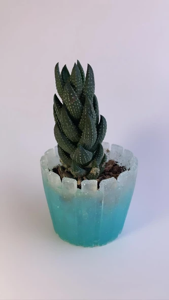 Turkuaz Mavi Üzerine Buğulu Şeffaf Gümüş Glitterli Tırtıklı Sukulent Epoksi Saksı El Yapımı Hediyelik - 8