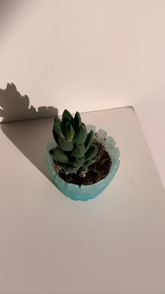 Turkuaz Mavi Üzerine Buğulu Şeffaf Gümüş Glitterli Tırtıklı Sukulent Epoksi Saksı El Yapımı Hediyelik - 5