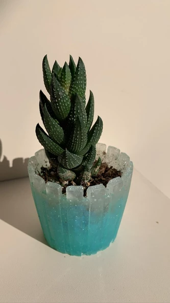 Turkuaz Mavi Üzerine Buğulu Şeffaf Gümüş Glitterli Tırtıklı Sukulent Epoksi Saksı El Yapımı Hediyelik - 3