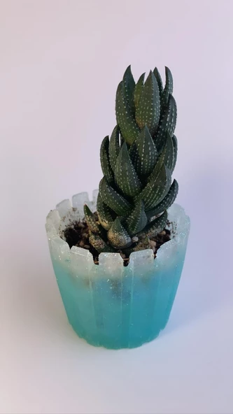Turkuaz Mavi Üzerine Buğulu Şeffaf Gümüş Glitterli Tırtıklı Sukulent Epoksi Saksı El Yapımı Hediyelik - 6