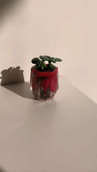 Kırmızı Renk Kum Ve Kurutulmuş Yaprak Süslemeli Vazo Şekil Sukulent Epoksi Saksı El Yapımı - 4