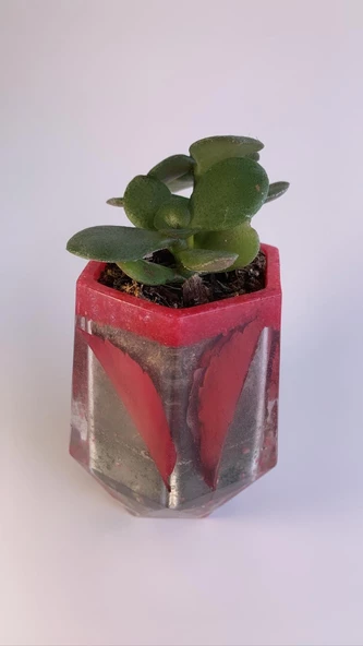 Kırmızı Renk Kum Ve Kurutulmuş Yaprak Süslemeli Vazo Şekil Sukulent Epoksi Saksı El Yapımı - 8