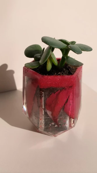 Kırmızı Renk Kum Ve Kurutulmuş Yaprak Süslemeli Vazo Şekil Sukulent Epoksi Saksı El Yapımı - 5