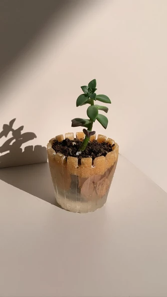 Turuncu Renk Kum ve Kurutulmuş Begonvil Süslemeli Tırtıklı Sukulent Epoksi Saksı El Yapımı Hediyelik - 5