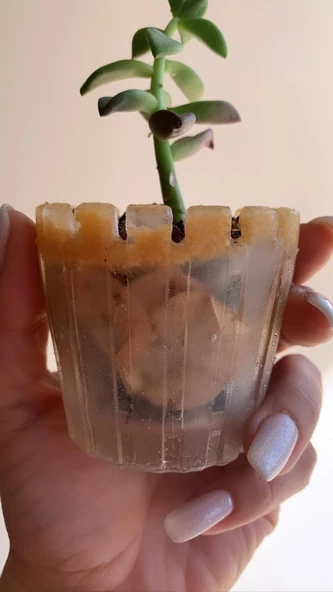 Turuncu Renk Kum ve Kurutulmuş Begonvil Süslemeli Tırtıklı Sukulent Epoksi Saksı El Yapımı Hediyelik - 7