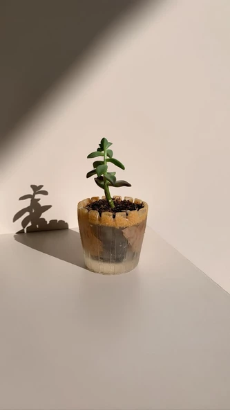 Turuncu Renk Kum ve Kurutulmuş Begonvil Süslemeli Tırtıklı Sukulent Epoksi Saksı El Yapımı Hediyelik - 4