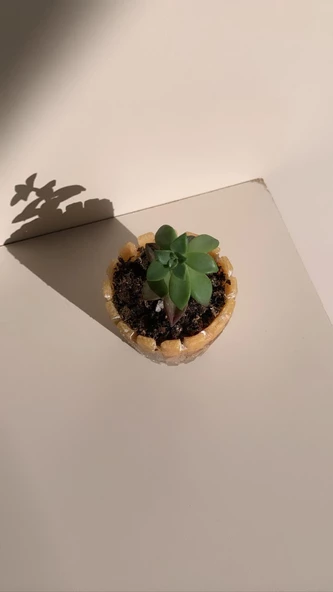 Turuncu Renk Kum ve Kurutulmuş Begonvil Süslemeli Tırtıklı Sukulent Epoksi Saksı El Yapımı Hediyelik - 2