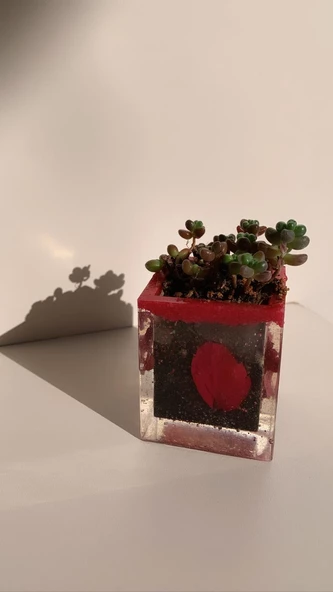 Kırmızı Renk Kum Ve Kurutulmuş Yaprak Süslemeli Kare Şekil Epoksi Sukulent Saksı El Yapımı Hediyelik - 7