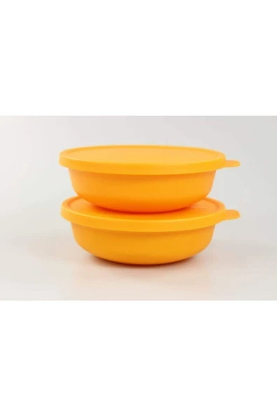 Tupperware Aloha Saklama Ve Servis Kabı 2 Li