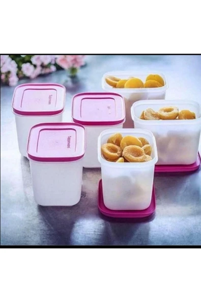 Tupperware Alaska 6 Lı 1.1 Lt Derin Saklama Kabı